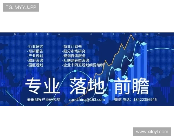 探索伟德平台的全面优势与未来发展前景